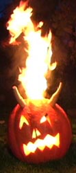 ExtremePumpkins.com