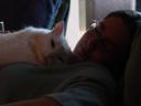 Olly and me - Caught Cat Napping