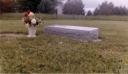 The headstone of Arch Bostic at Hopewell Baptist Church Cemetery, Ripley County, Indiana
