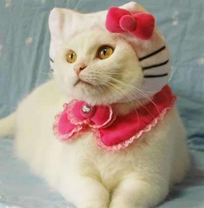 Hello Kitty