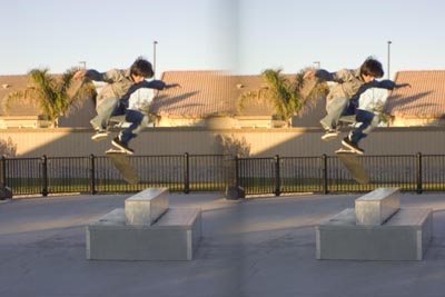 3D Skateboarder