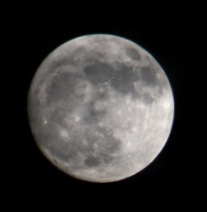 The Rising Moon over Gilbert, AZ on July 16, 2008
