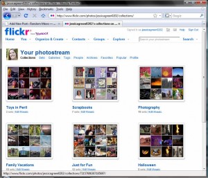 Flickr Flickr