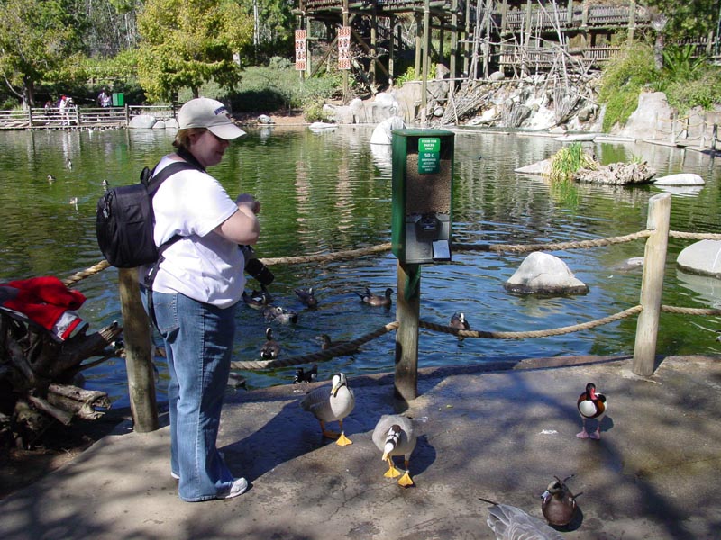 Feeding the Ducks, San Diego Wild Animal Park, March 2007 Feeding the Ducks, San Diego Wild Animal Park, March 2007