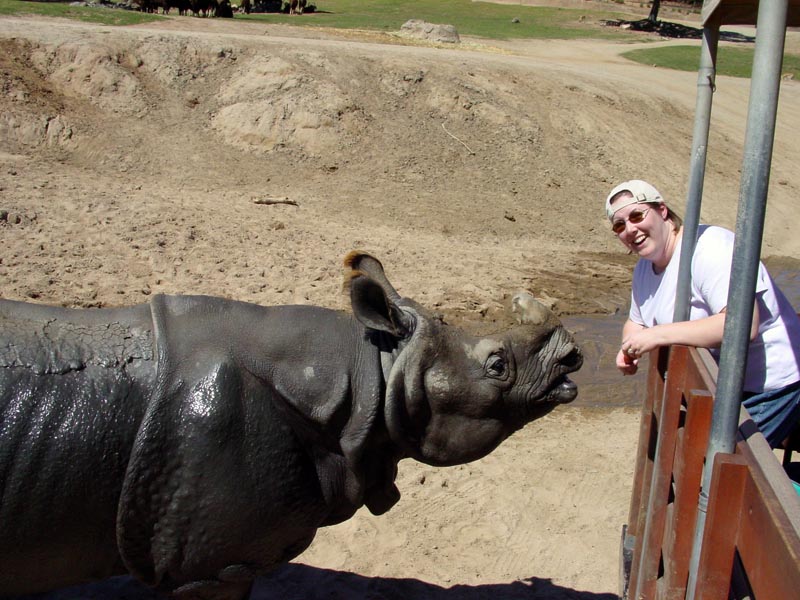 Feeding the Hippos, San Diego Wild Animal Park, March 2007 Feeding the Hippos, San Diego Wild Animal Park, March 2007
