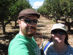 Picking in the Orchard Picking in the Orchard