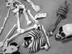 Piles of Skeleton Parts Piles of Skeleton Parts
