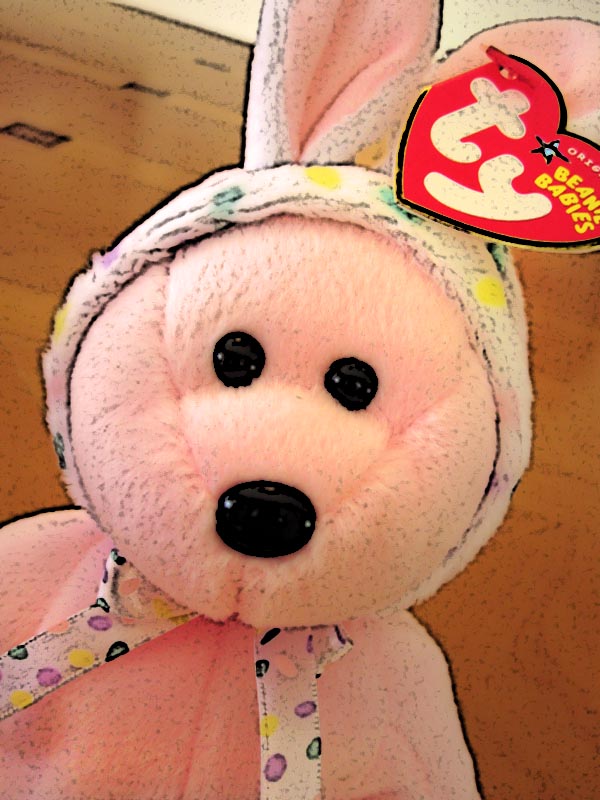Ty Bonnet the Bear, my favorite newest addition Ty Bonnet the Bear, my favorite newest addition