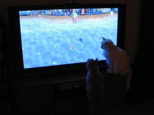 Tumbles and Olly bat at the snow Tumbles and Olly bat at the snow