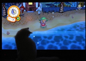 Olly watches the snow on screen Olly watches the snow on screen