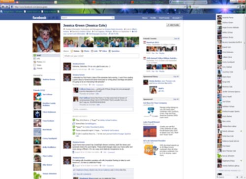 Capturing my Facebook Profile Capturing my Facebook Profile