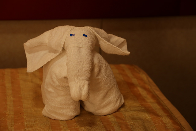 Carnival's Classic Towel Elephant