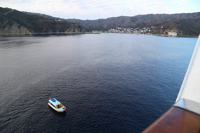 Tendering to Avalon